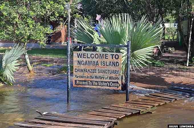  he signpost welcoming visitors to the sanctuary which used to lie several meters away from the lake is now sunk in water