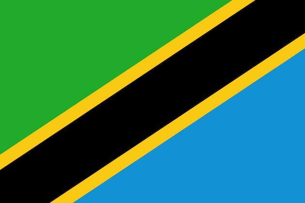 Tanzania's joint bid to host AFCON 2027 to promote tourism: president