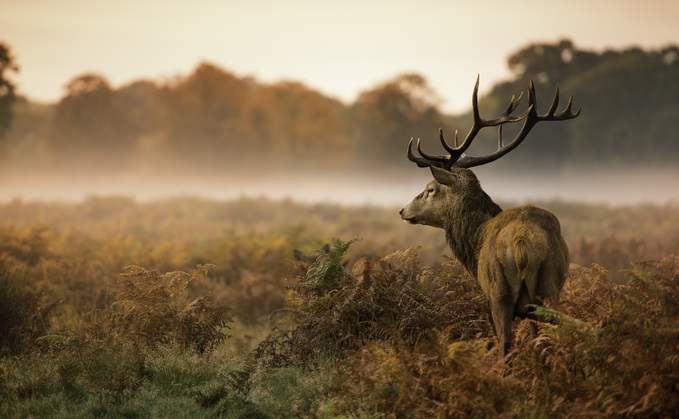 Farmers' Weather - "Autumn has arrived about a month early, though it is likely milder weather will return"