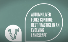Autumn fluke control: best practice in an evolving landscape