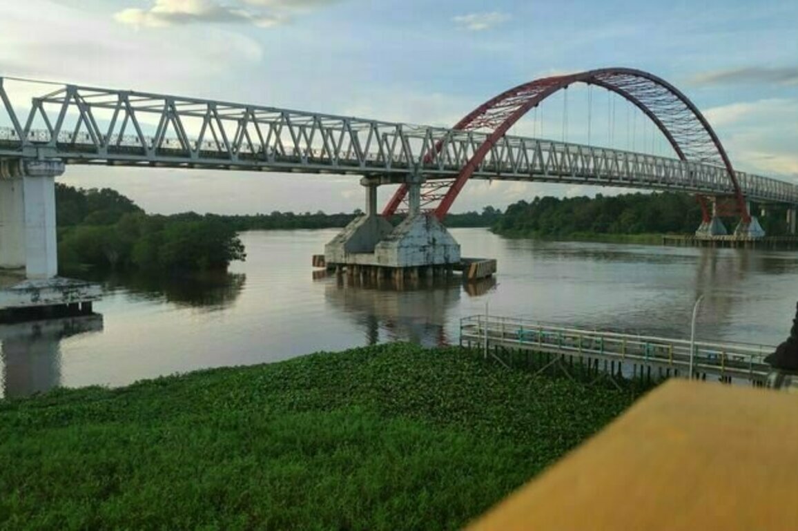 Jejak kejayaan pangan di tanah handil, mungkinkah bisa hidup kembali?