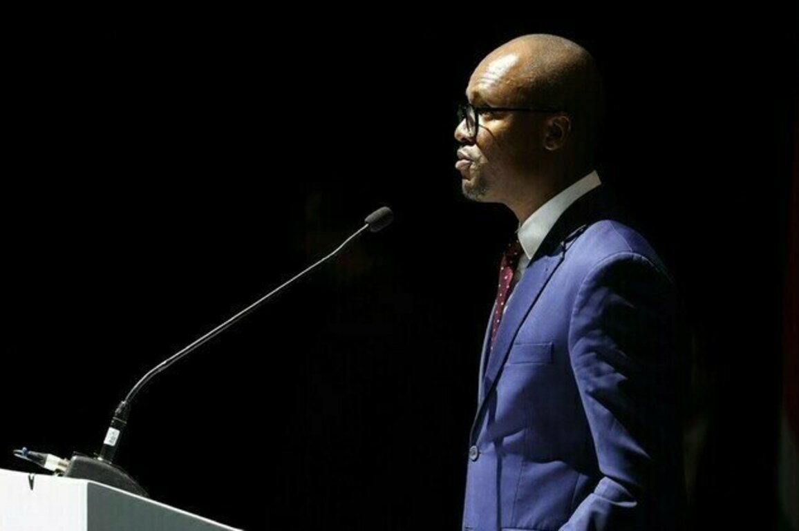 BRICS can help bridge Africas digital divide  South African minister