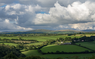 Duchy of Cornwall partners with Regenified to support regenerative farming across estate 