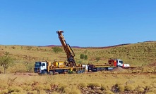 Tambourah's rise attracts Tribeca's eyes 