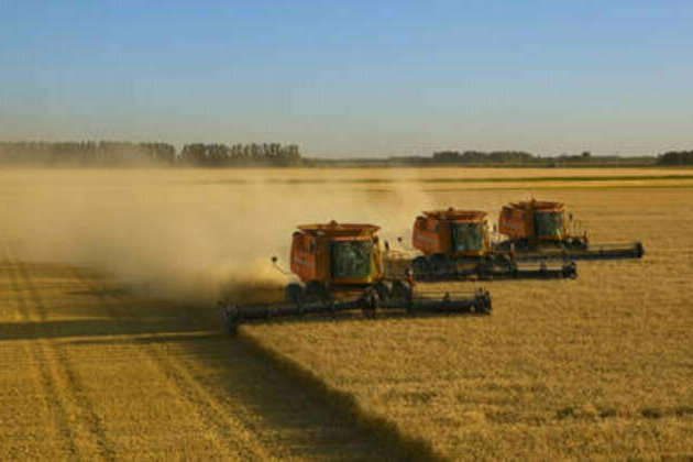 Russia boosts wheat exports to Africa