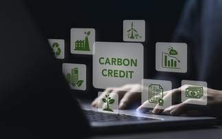 Carbonplace and Climate Impact X merge to offer enhanced carbon credit trading platform