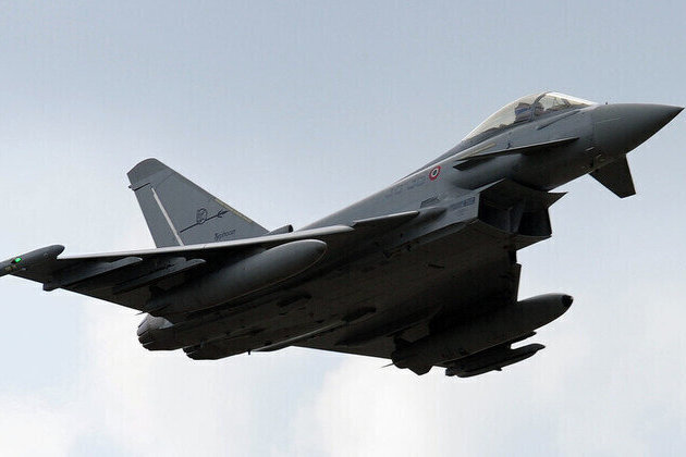 NATO scrambles jet over flock of birds