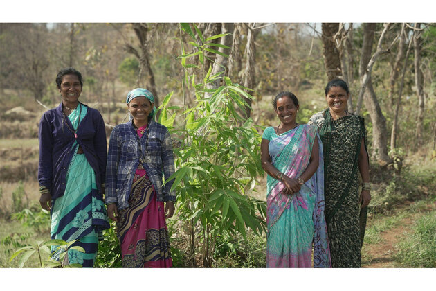 Industree Foundation Secures India's First FSC Forest Management Certification for Smallholder Bamboo Farmers, Opening Doors to Global Markets