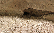 Growers face warnings of rodent surge after warm weather   