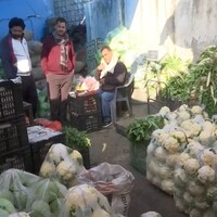 J-K: Organic farming boom in Rajouri's Sunderbani transforms district into economic powerhouse