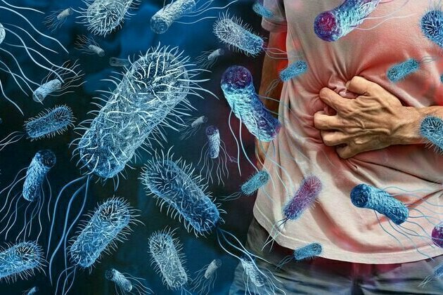 Salmonella cases are at ten-year high in England - here's what you can do to keep yourself safe