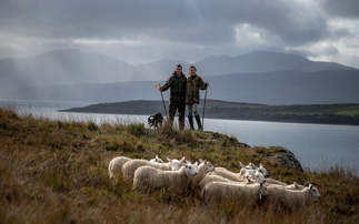 Emma Gray's Farming Life: "The mega storm had blown a sizeable chunk out of our lambing plans - blasting a large hole in our shed"