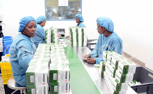  orkers sorting out medicine in osmos pharmaceutical company in enya