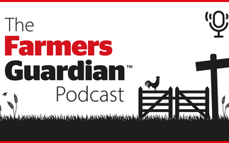 The bluetongue surge: Immediate action now and lessons for the future | The Farmers Guardian Podcast 