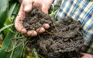 Mars urges policymakers to back regenerative farming push