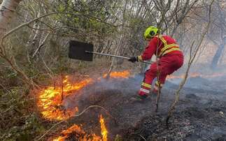 Wildfires in England and Wales so far exceed 2025 whole year total