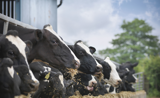 Methane-reducing feed  additives could lower methane production by  30% and are a ‘useful tool in the toolbox’, said Prof Tom McNeilly.