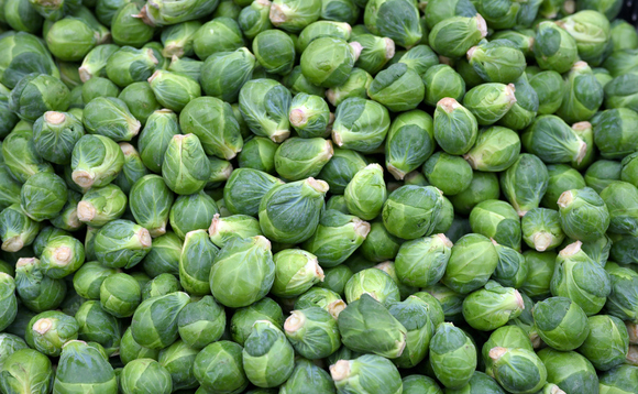 Study: UK families expected to throw away 50 million sprouts this Christmas
