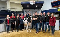 A round up of sales from livestock markets 
