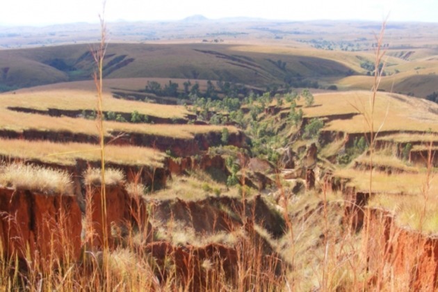 World Soil Day: Madagascar Combats Soil Erosion with Tradition and Nuclear Science