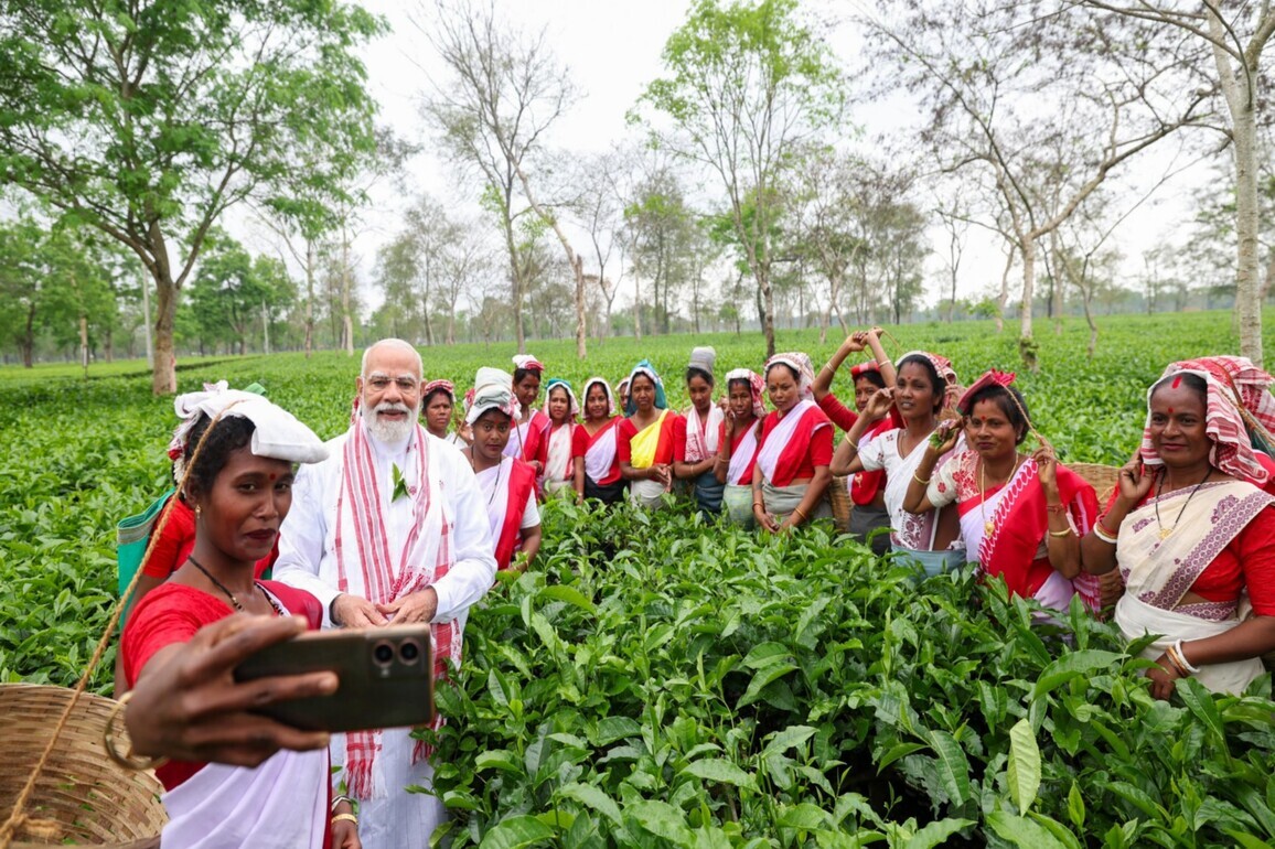 Assam, Bengal tea producers urge PM Modi to withdraw notification mandating 50% sale through auctions