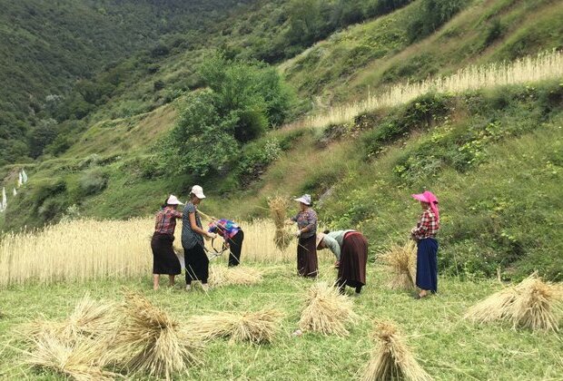 Women work harder than men - our anthropological study reveals why