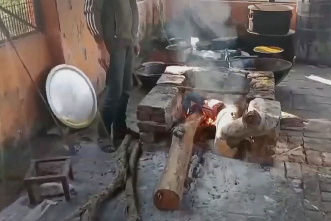 Maa Chandrika Devi Temple pivots to firewood for Navratri bhandara in Lucknow amid reported LPG shortage