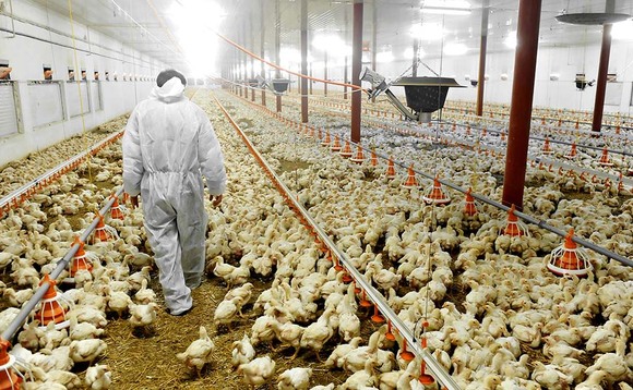 US poultry giant agrees fine on price-fixing