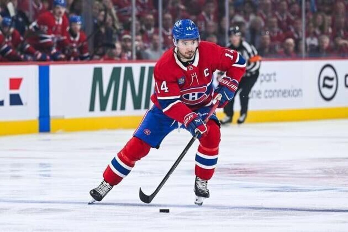 Selke finalists: Nick Suzuki, Brock Nelson, Anthony Cirelli