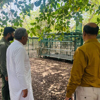 Gujarat Forest and Environment Minister visits Gir forests, reviews infection situation among Asiatic lions