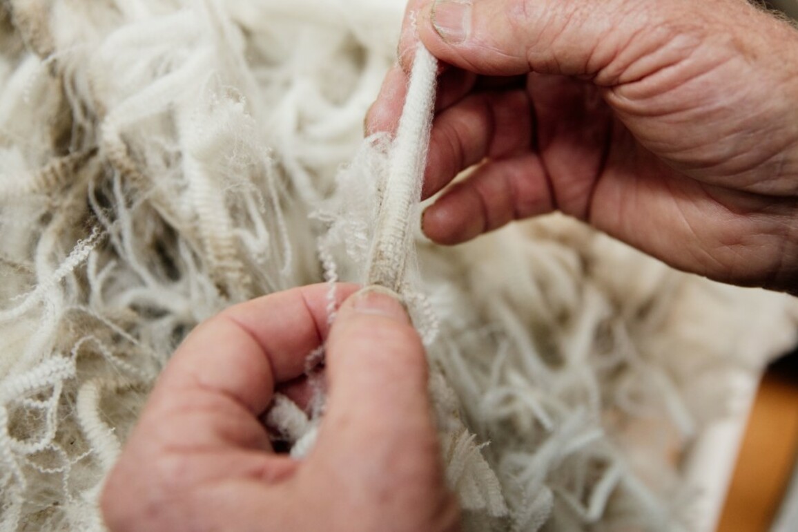 Wood, hemp sectors want to join wool in new government construction rules