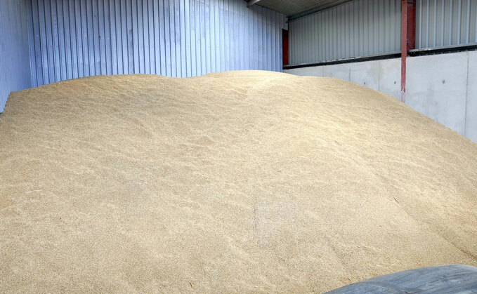 Reducing dust when rolling dry grain