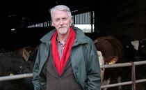 Wales bans untested livestock movement owing to bluetongue threat