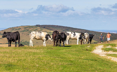 Stepping out of line: What farmers need to know about public rights of way