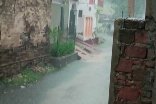 Rain damage crops in Rajasthan's Alwar, farmers demand compensation from govt