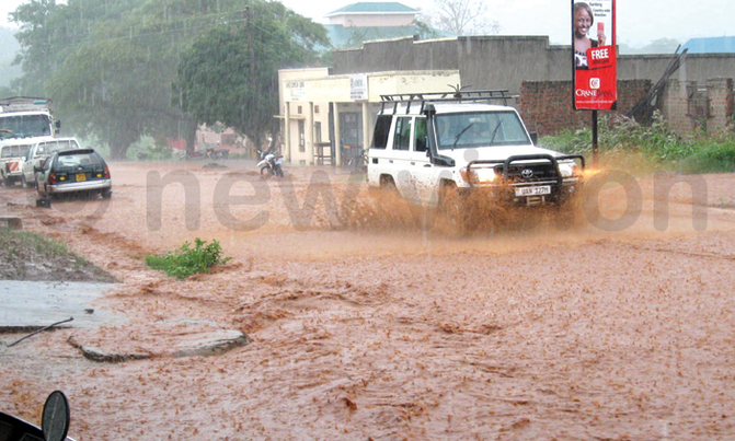 More rain expected but not good enough for fresh planting More rain expected but not good enough for fresh planting