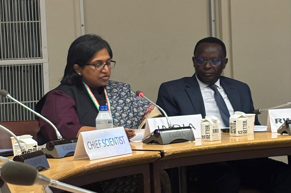 The event was organised by the Food and Agriculture Organization (FAO) on the sidelines of the Science, Technology and Innovation for the Sustainable Development Goals (STI Forum).