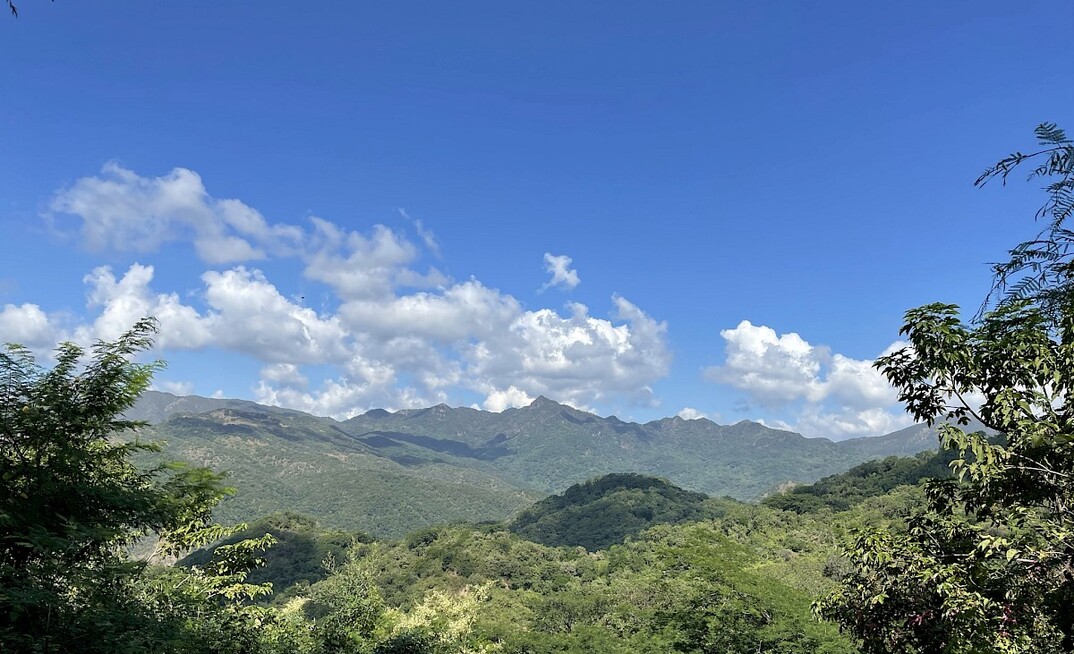 Vizsla Silver's Panuco in Sinaloa, Mexico. Credit: Vizsla Silver