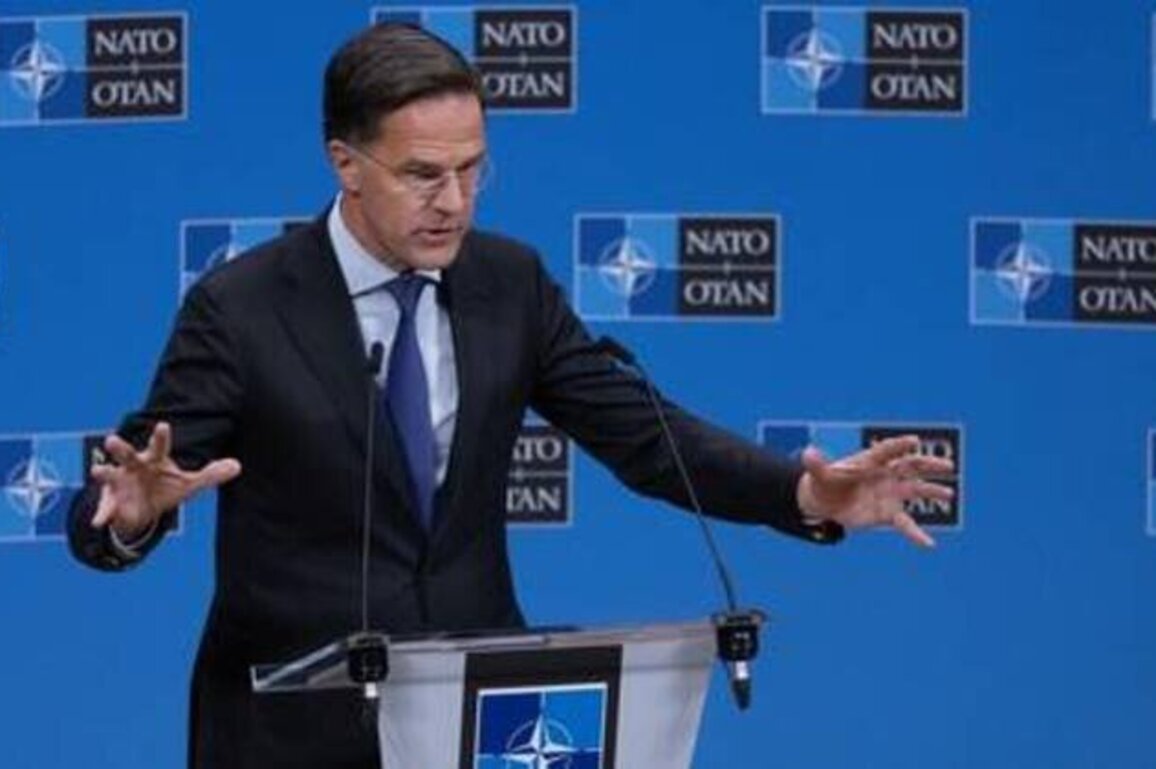 NATO chief is a 'smart man spouting nonsense' - Putin