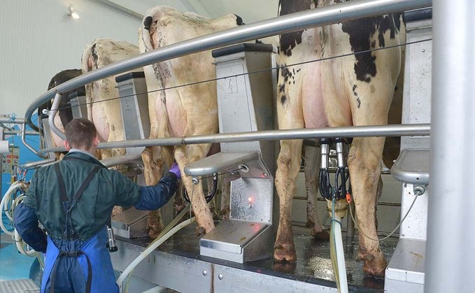 Multi-faceted approach to mastitis diagnosis advised