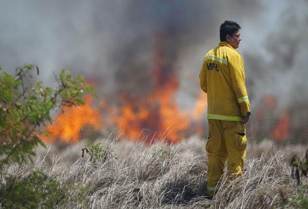 CDC Report Finds Traces Of PFAs In Maui Firefighters&#39; Blood - Honolulu Civil Beat