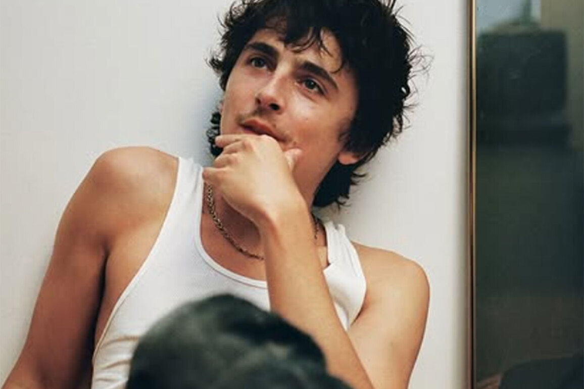 Luca Guadagnino says Timothee Chalamet "could have avoided" opera-ballet controversy