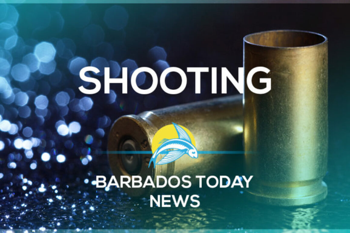 Cars, houses damaged in St Michael shooting incident