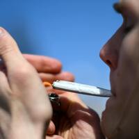 Dabney- Albert Lea City Council blocks opening of legal weed business