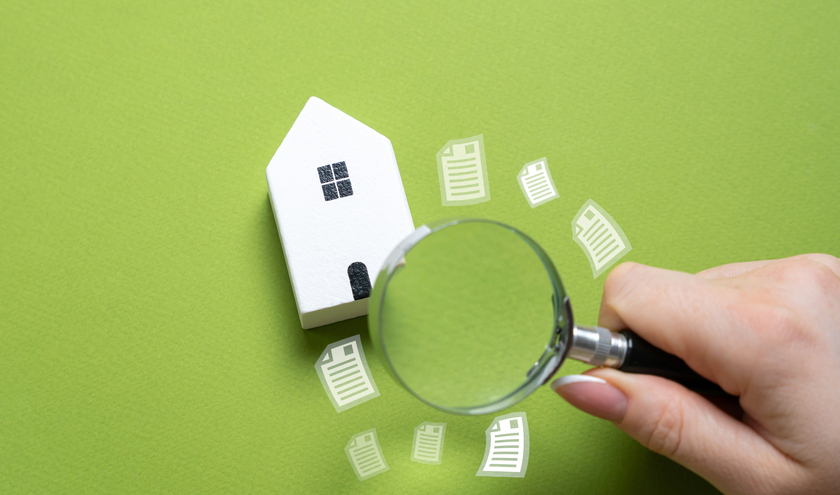 ©Andrii Yalanskyi/shutterstock