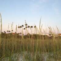 Pinellas Beaches Real Estate June 16-23