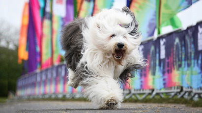 Join the Dulux London Revolution