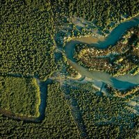 Wetland restoration is seen as sunk cost - but new research shows why it should be considered an investment