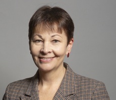 Caroline Lucas: 'I would love to see the private sector speaking out more on net zero'