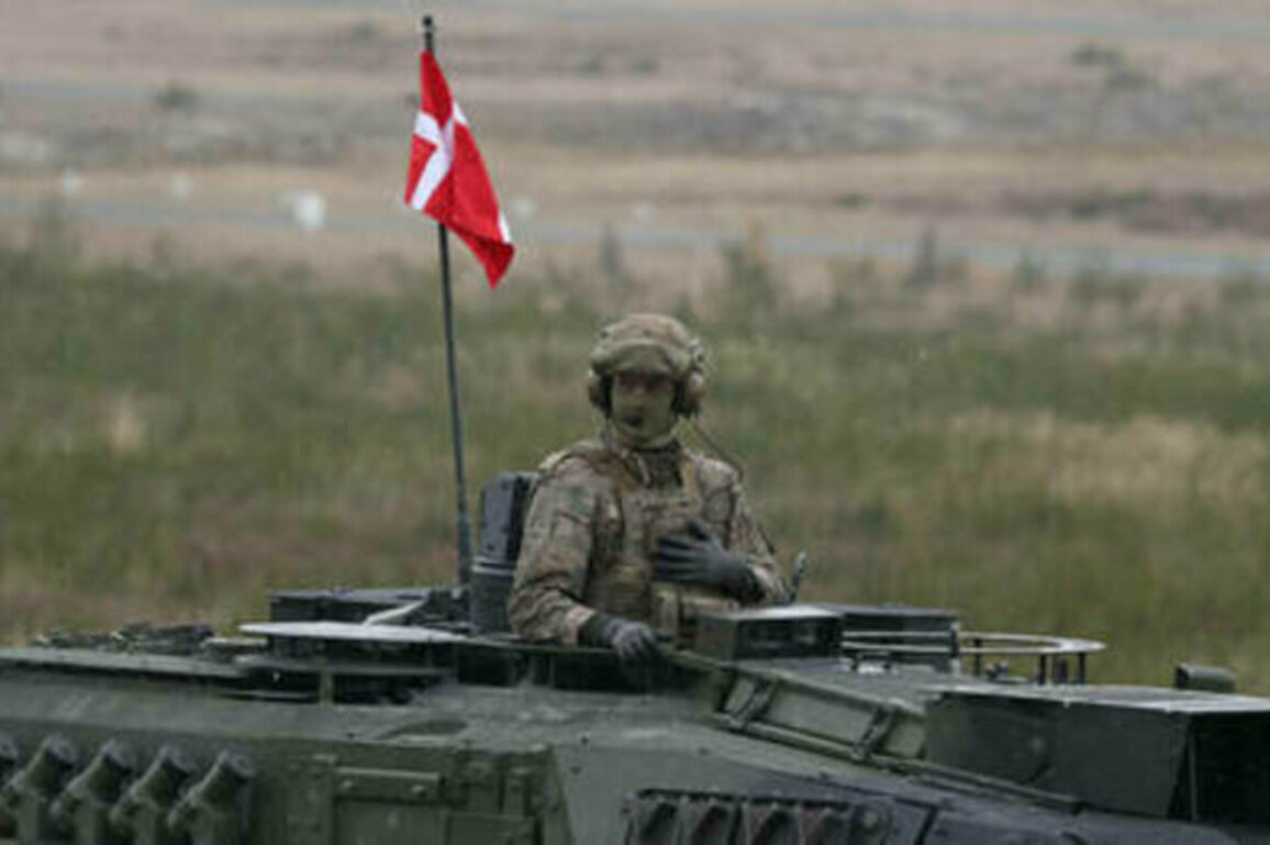 EU country mobilizes reservists after drone incidents - media